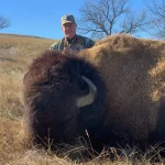 hunter and hunted buffalo
